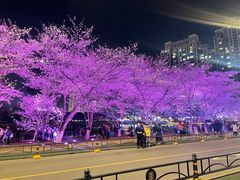 -西北湖绿化广场
