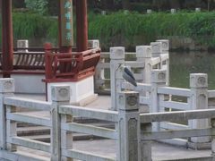 -汇龙潭