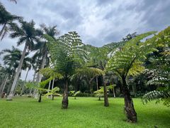 -中国科学院西双版纳热带植物园