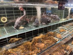 -浩运·海鲜青岛菜·海胆水饺(石老人店)