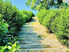 -缥缈峰景区
