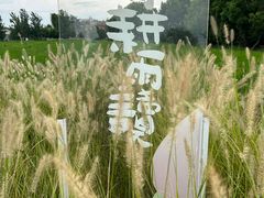 -嘉北郊野公园