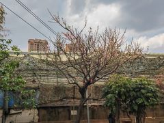 -同心烧烤(总店)
