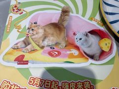 -必胜客(滨江店)