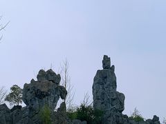 -千岛湖石林