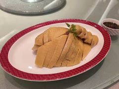 -圆苑(静安寺店)