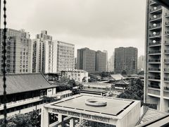 -复旦大学附属中山医院(西院区)