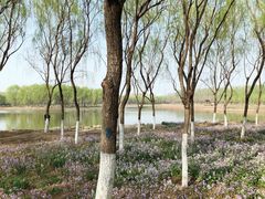-东郊湿地公园