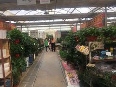 -秦美花卉(天朗·莱茵小城2期店)