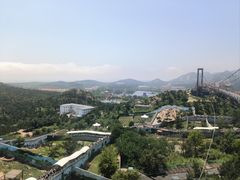 -西霞口神雕山野生动物世界