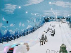 -世界之窗阿尔卑斯冰雪世界