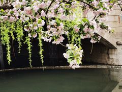 -海棠花溪(元大都城垣遗址公园)