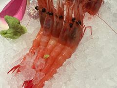 -月龍吟(朝龙汇店)
