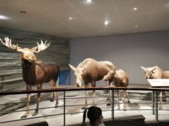 -自然博物馆新馆2楼餐厅