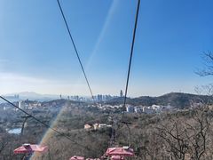 -波螺油子·海肠捞饭·青岛菜(市南银座店)