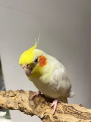 -Zoolung Zoolung动物主题公园(海信广场店)