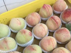 -老袁家蜜桃农场·阳山水蜜桃