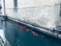 -前童古镇