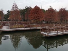 -五缘湾湿地公园