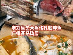 -老刘生态大鱼坊铁锅炖鱼(赛马场店)