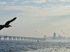 -星海广场