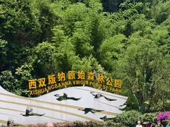 -西双版纳原始森林公园