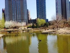 -长白岛森林公园