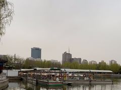 -莲花池公园