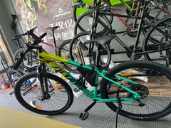 -道路口单车爱瓦士dahon大行