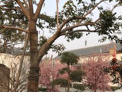 -郑州银基黄帝宫御温泉