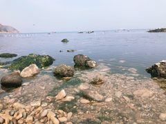 -棒棰岛宾馆景区