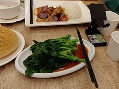 -翠华餐厅(东门店)