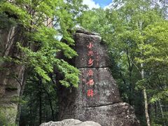 -汤旺河林海奇石景区