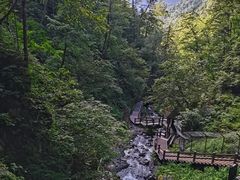 -凤凰山国家森林公园