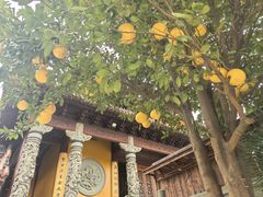 -会龙寺