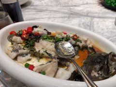 -陶缘一号·四季缘·老字号顺德菜·户外婚礼家宴(西滘店)