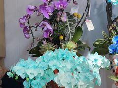 -花里花店(唐镇阳光天地店)