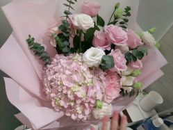 -宝生月子中心(民治店)