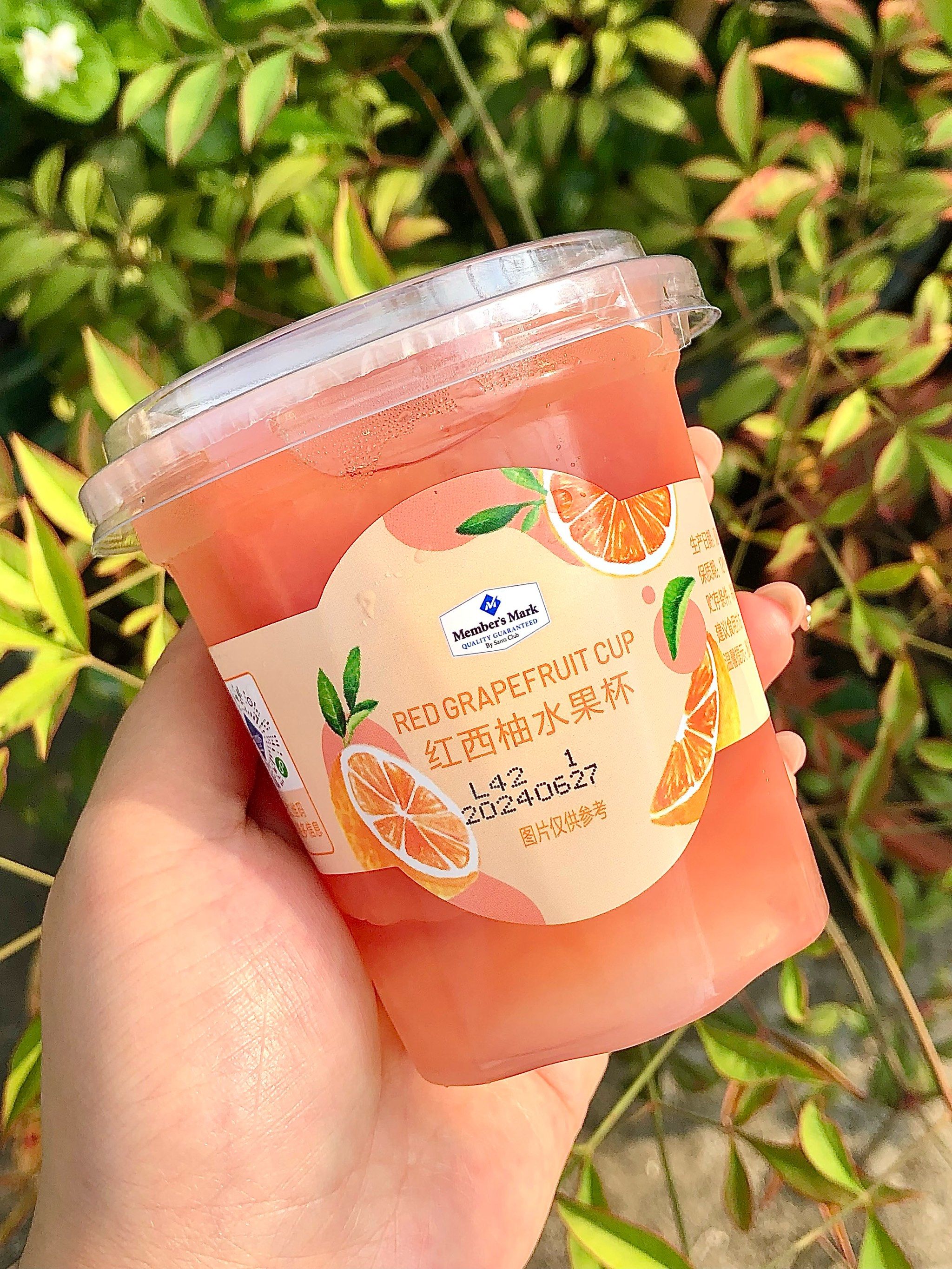 同事给了我一杯山姆红西柚水果杯