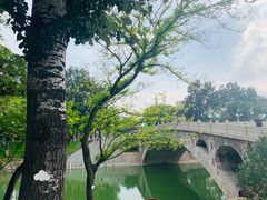 -赵州桥景区