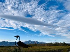 -野鸭湖国家湿地公园