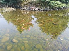 -白马涧龙池景区