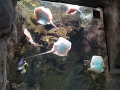 -杭州海底世界
