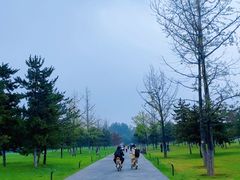 -汉长安城未央宫国家考古遗址公园