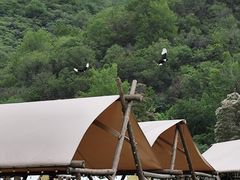 -武汉姚家山旅游景区