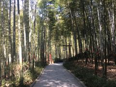 -天目湖御水温泉·度假酒店