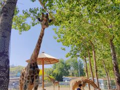 -大连森林动物园