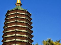 -八大处公园