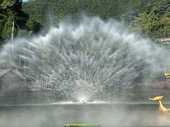 -西双版纳原始森林公园