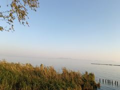 -贡湖湾湿地公园
